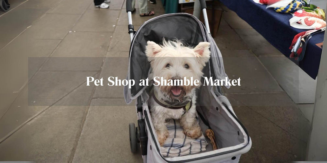 Is The Shambles in York dog friendly?