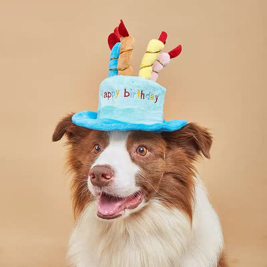 Dog birthday hats