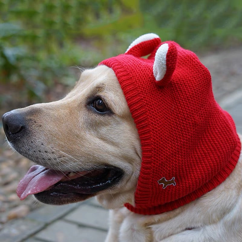 Cozy Wind Proof, winter warm, Dog beanie hat