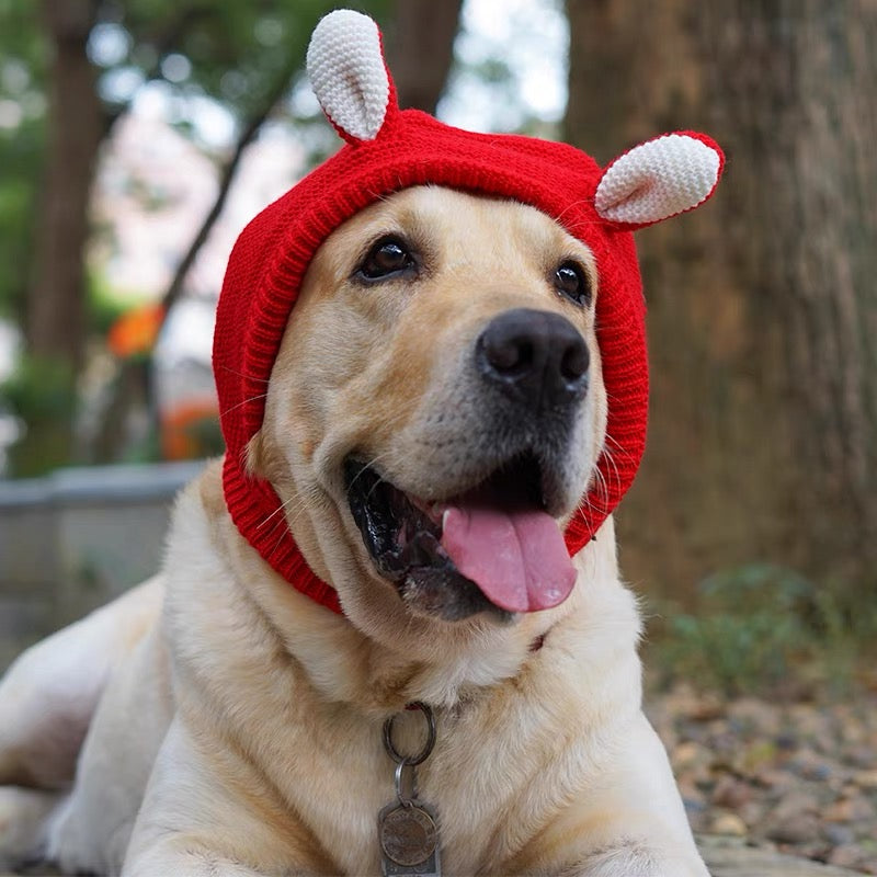 Cozy Wind Proof, winter warm, Dog beanie hat