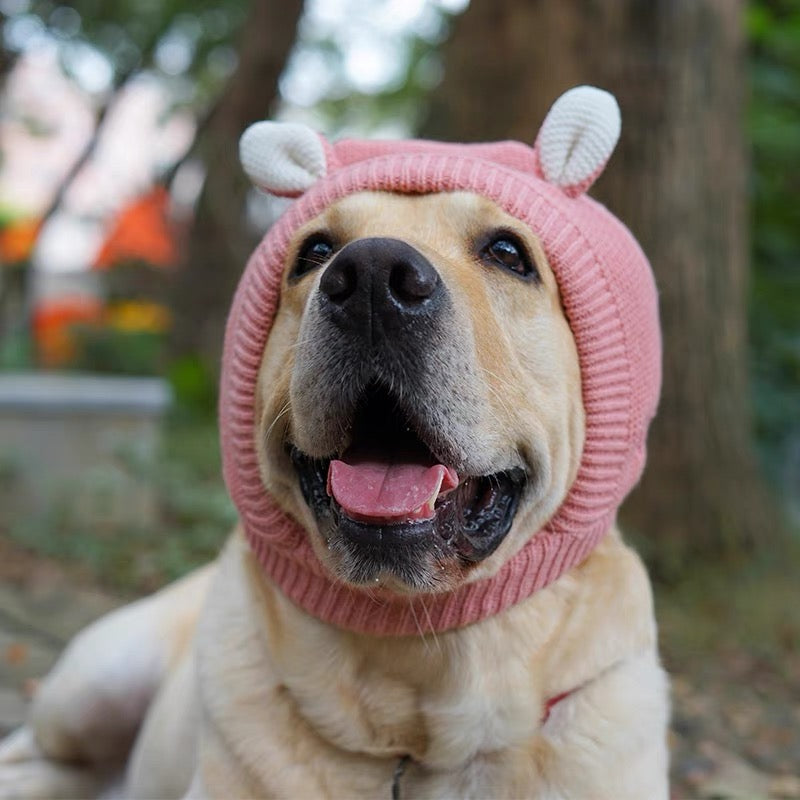 Cozy Wind Proof, winter warm, Dog beanie hat