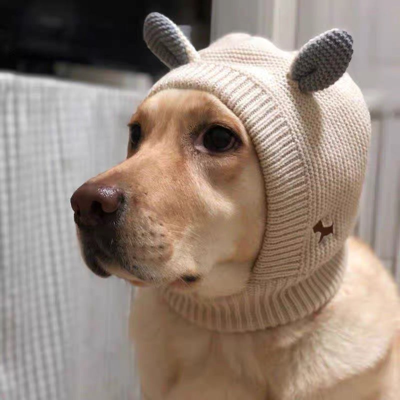 Cozy Wind Proof, winter warm, Dog beanie hat