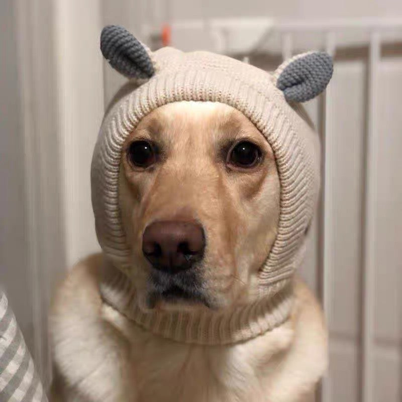 Cozy Wind Proof, winter warm, Dog beanie hat