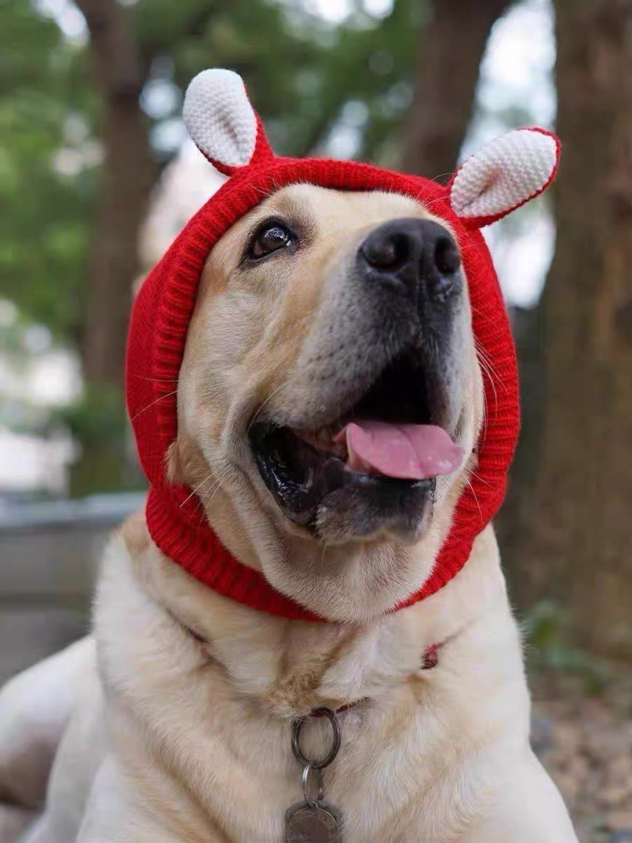 Cozy Wind Proof, winter warm, Dog beanie hat