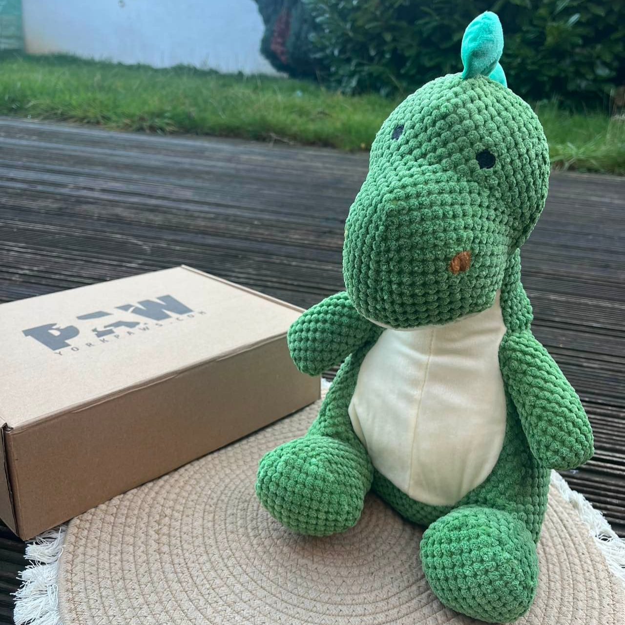 Dino Large Size Plush Squeaky Toy