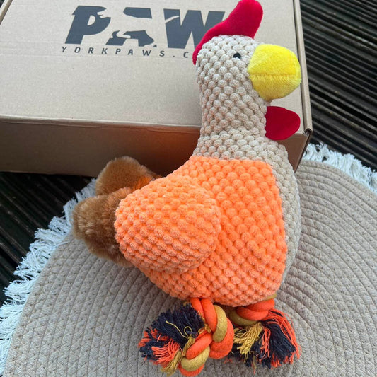 Rooster squeaker plush dog toy