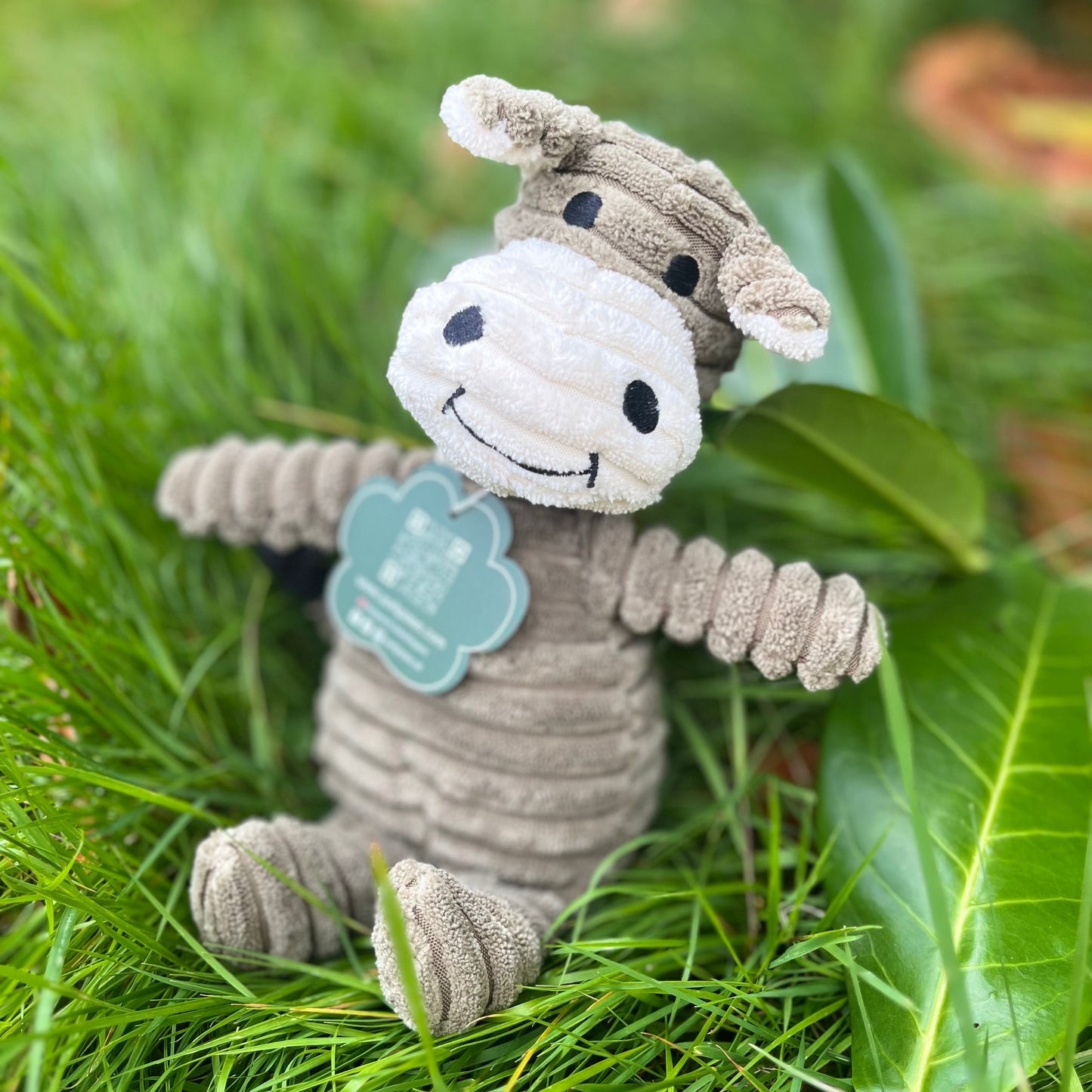 Hippo the hippo: Splush squeaky dog toy