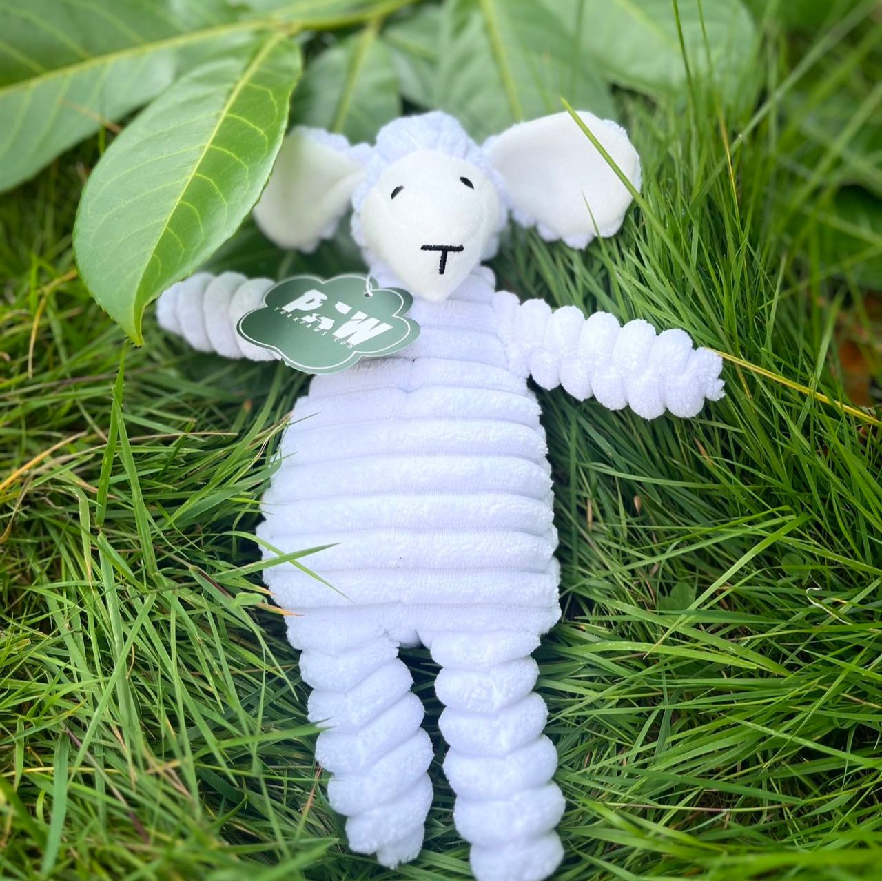 Anne the sheep: Splush squeaky dog toy