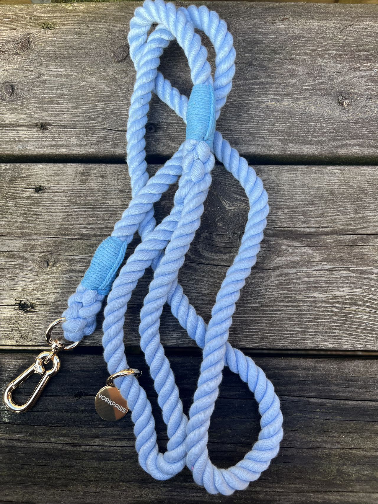 5ft Dog Rope Lead Blue