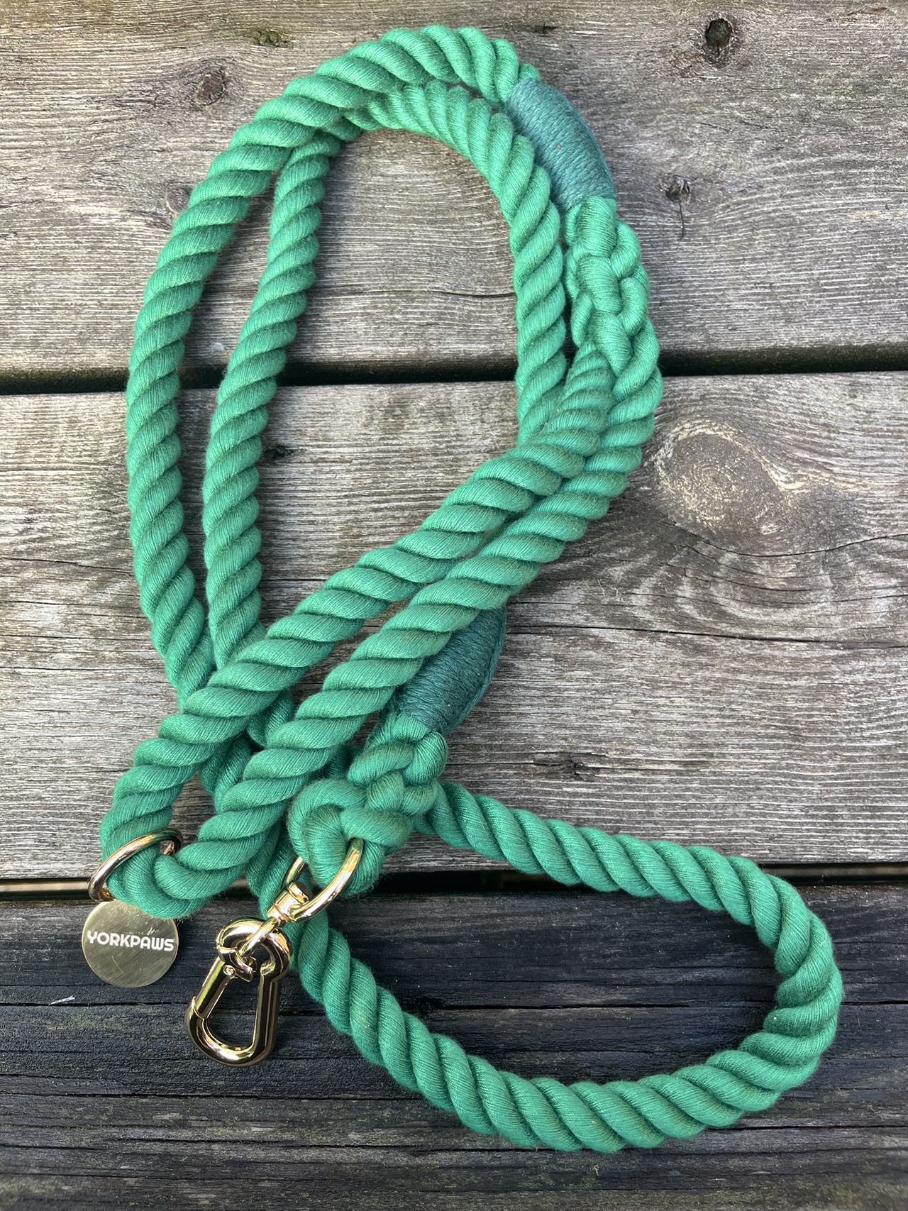 5ft Dog Rope Lead Green