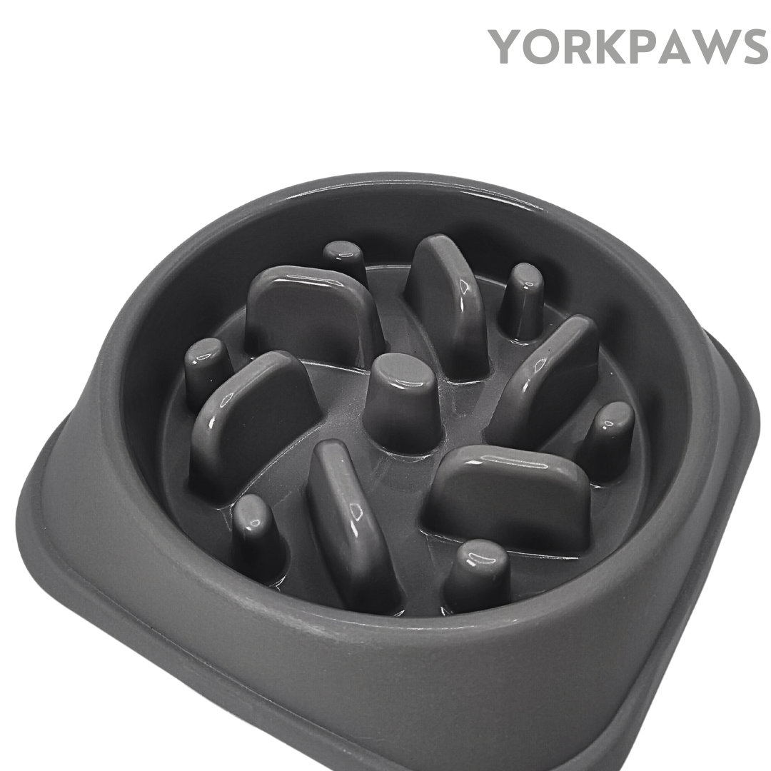 Slow Feeder Pet Bowl inGray