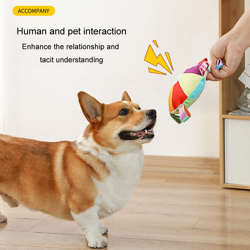 Outdoor Interactive Dog Toy Dog Frisbee