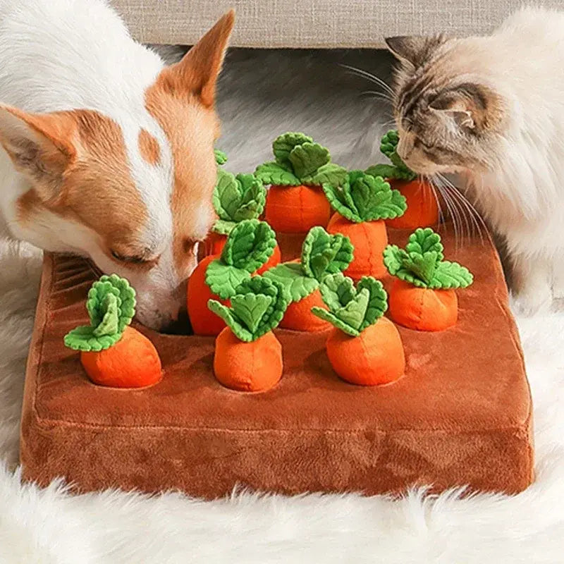 Carrot Pull Snuffle Mat