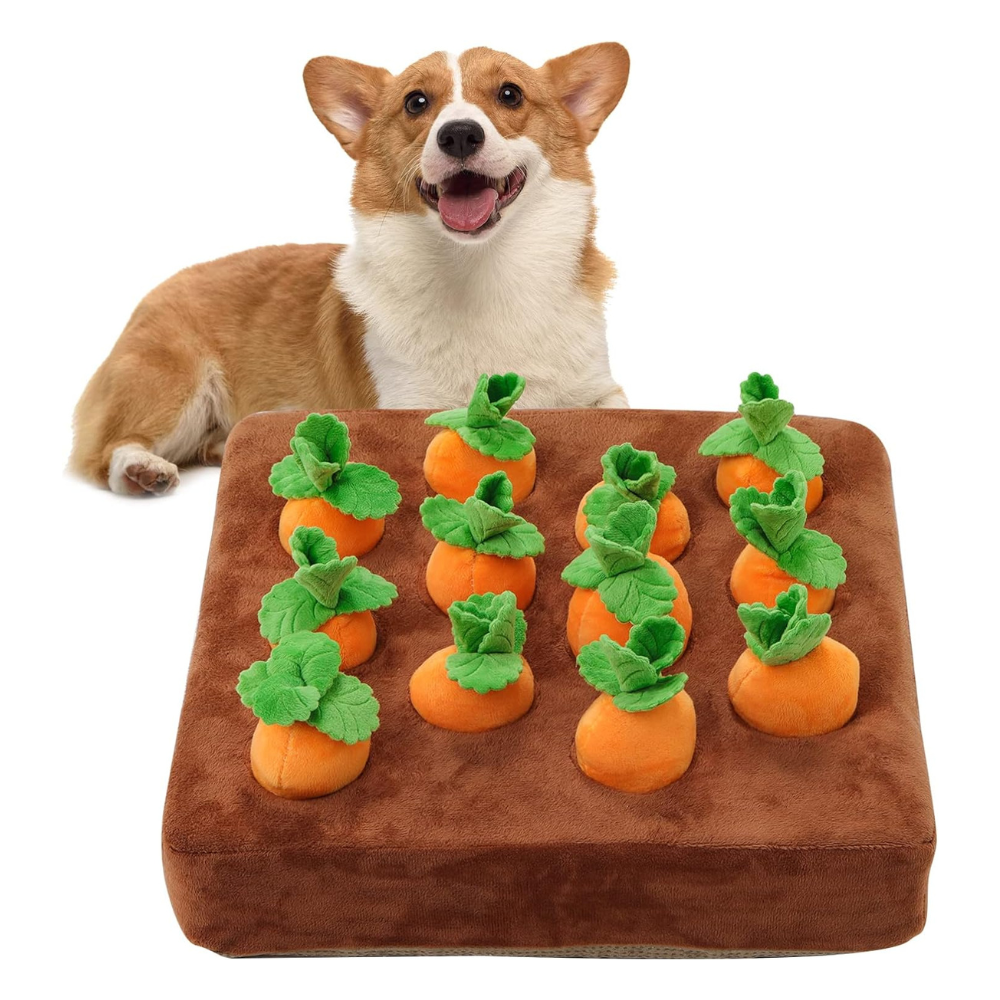 Carrot Pull Snuffle Mat