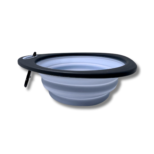 dog portable bowl